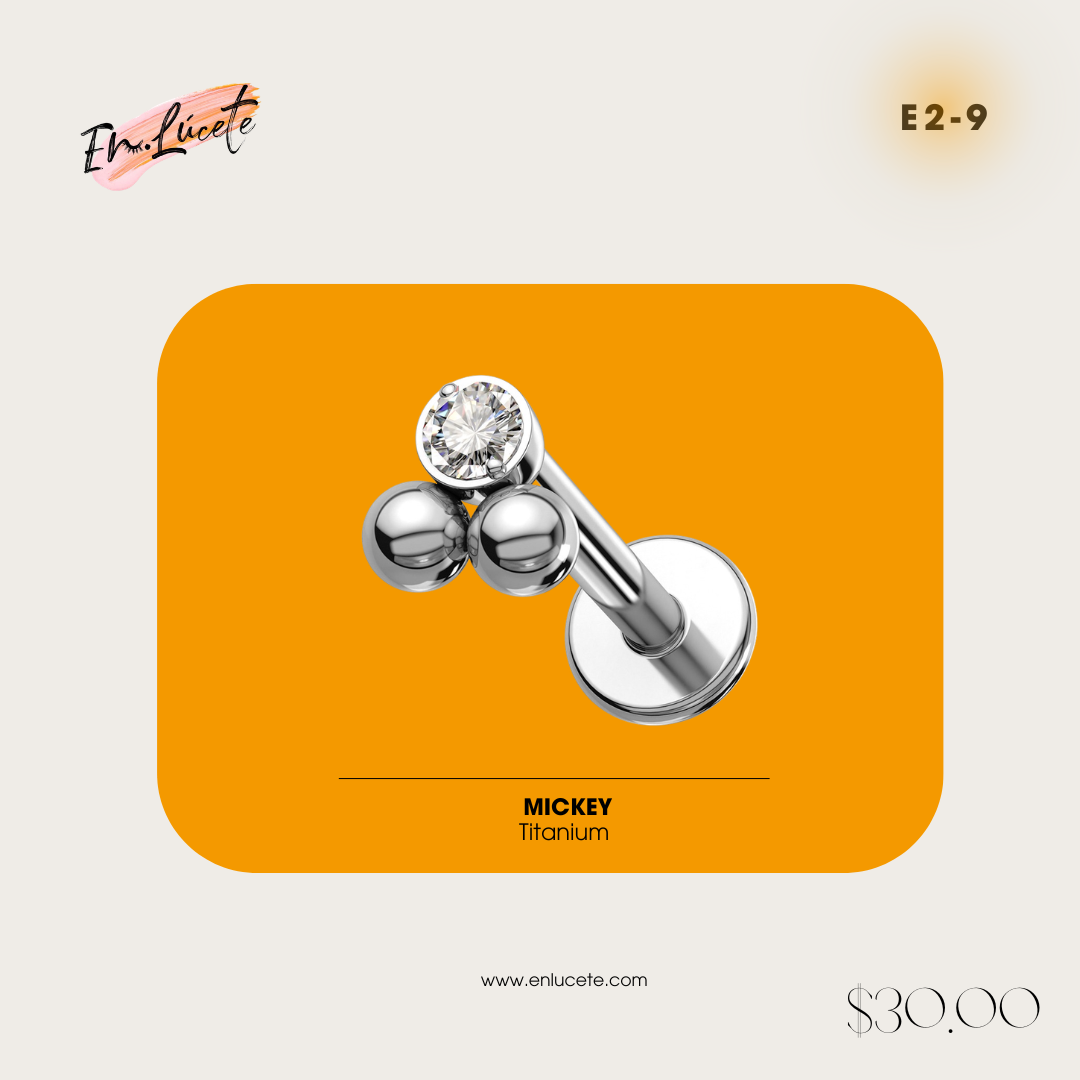 E2-9 Mickey