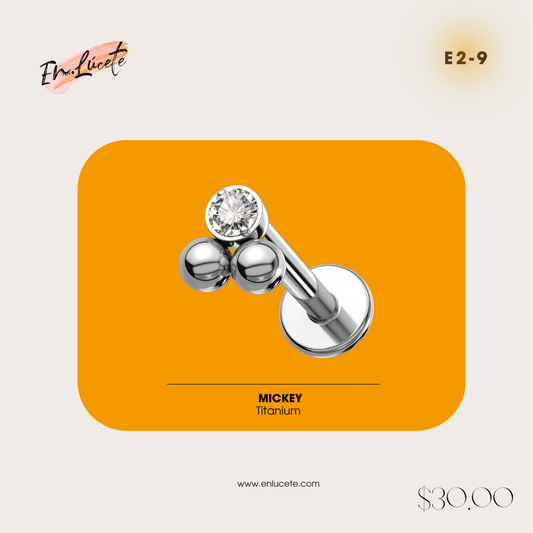 E2-9 Mickey